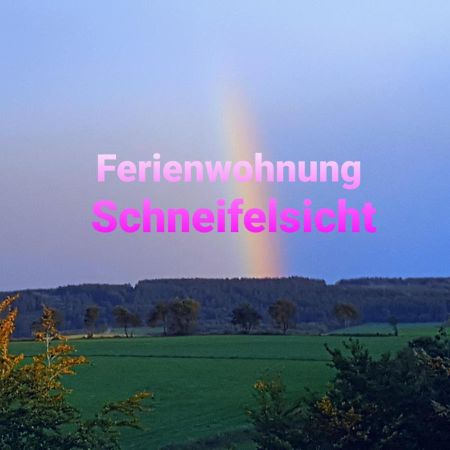 Ferienwohnung Schneifelsicht Auw bei Prum 外观 照片